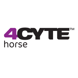 4cite-horse