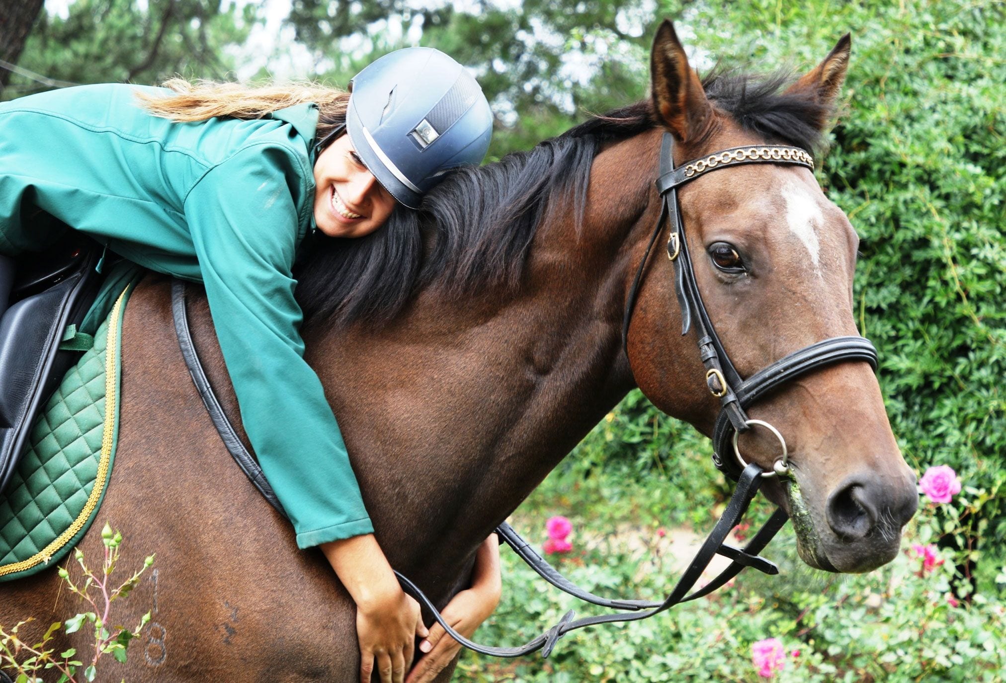 Super-Jockey-and-Shedi-in-the-woodlands-Gardens-@livinglegendsAUlovethehorse
