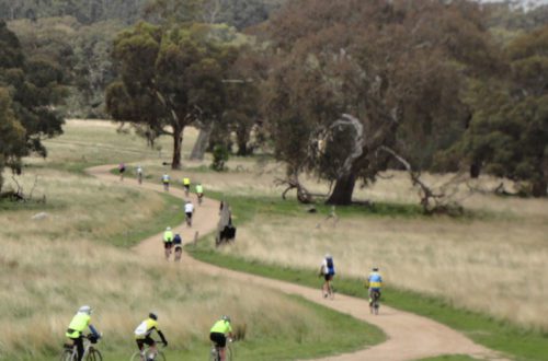 group_cycling_at_living_legends